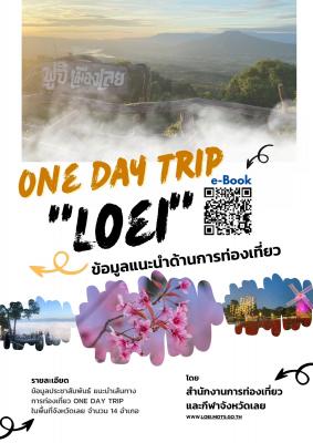 onedaytrip